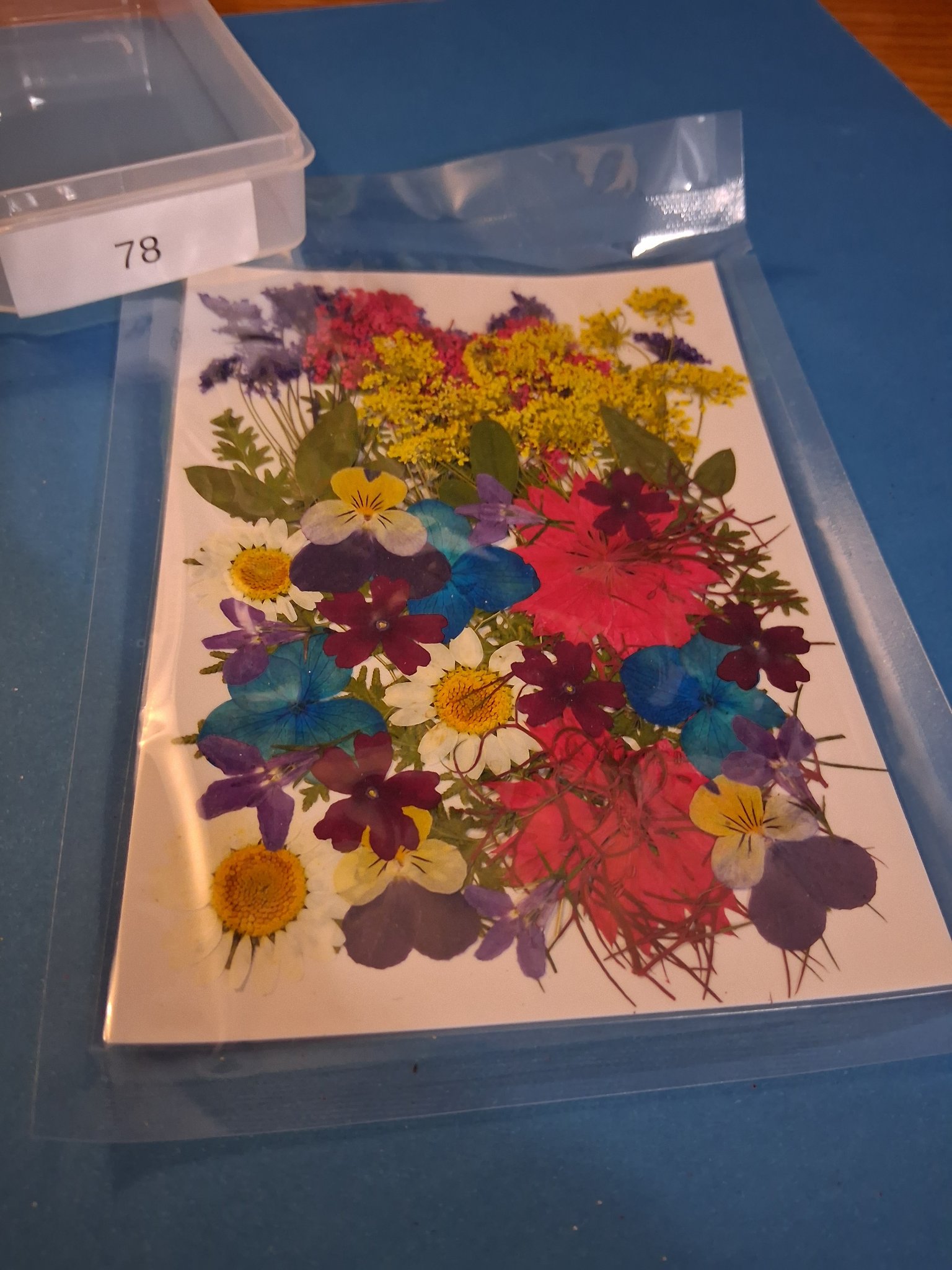 Our Materials — 78A Pressed Flowers (Mixed Colorful)